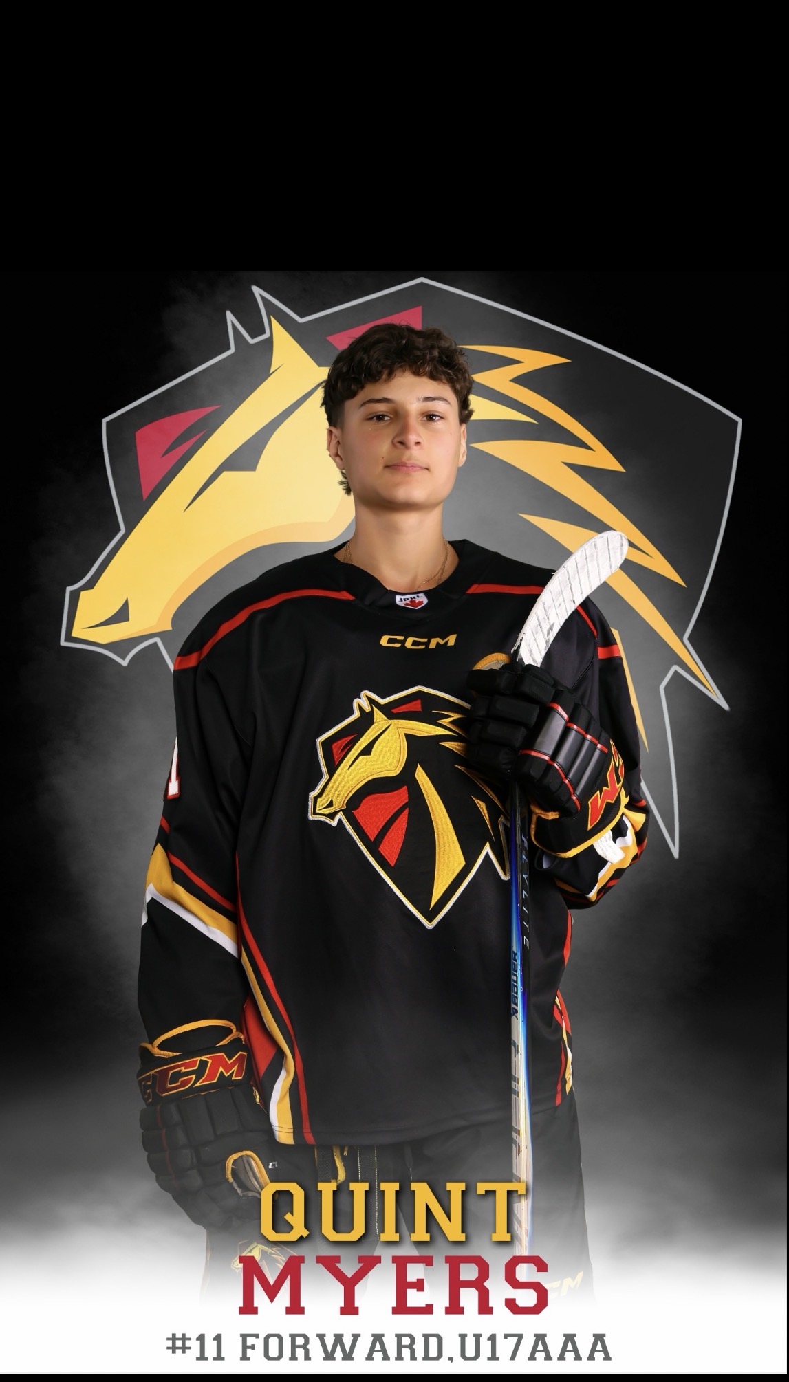 Quint Myers  - ProfileWon Profile