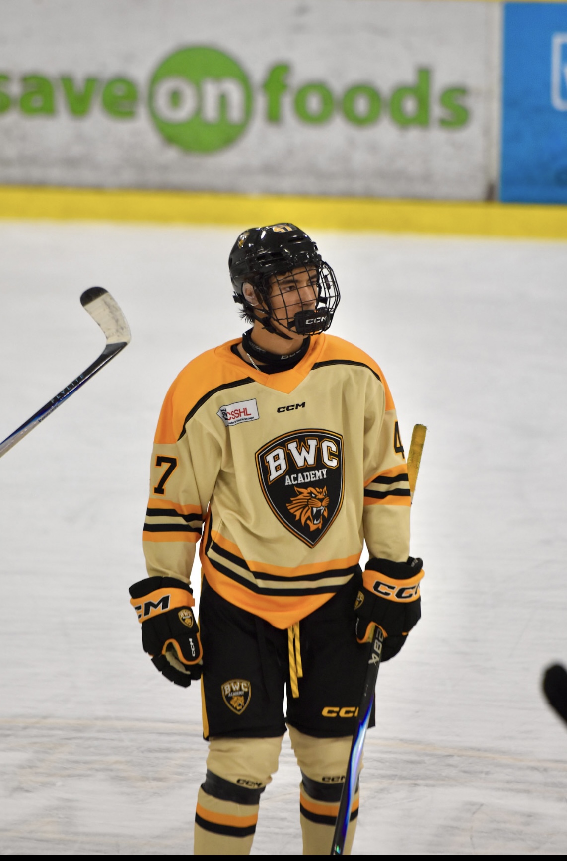 Coen Hlady - ProfileWon Profile